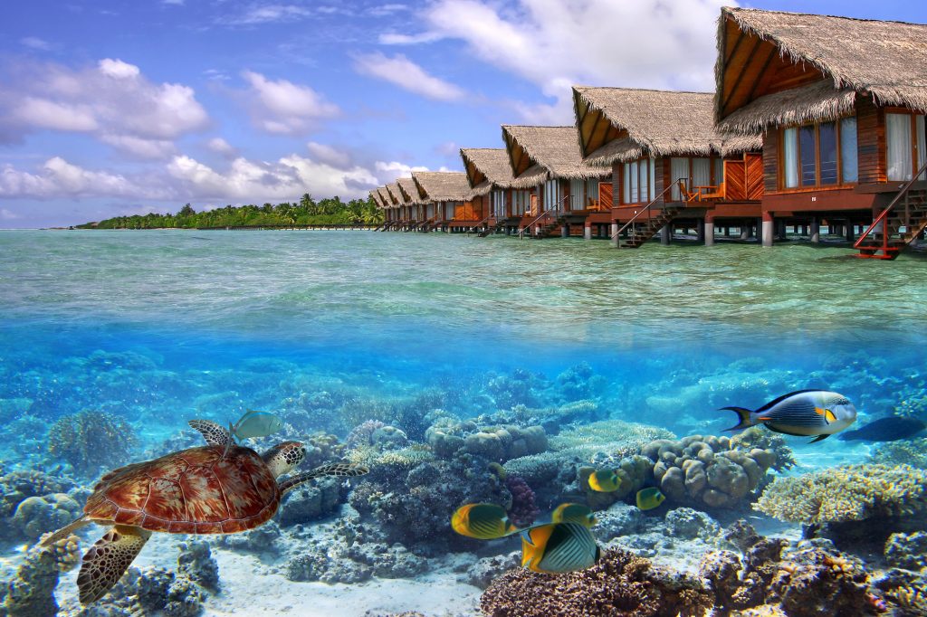 Тропические воды Мальдивы
