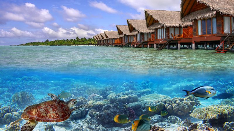 Тропические воды Мальдивы